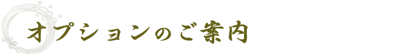 オプションのご案内